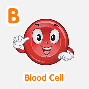 Blood Cell