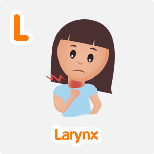 Larynx
