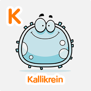 Kallikrein