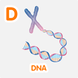 DNA